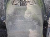 image number 4